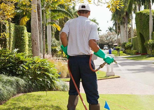 About Marchand PA Pest Control